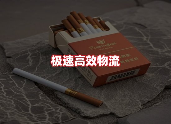专业团队